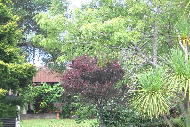 Photo of property in 8 Philson Terrace, Browns Bay, Auckland, 0630