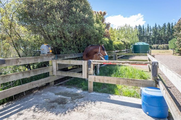 Photo of property in 756 Poyntzs Road, Eyrewell, Rangiora, 7476