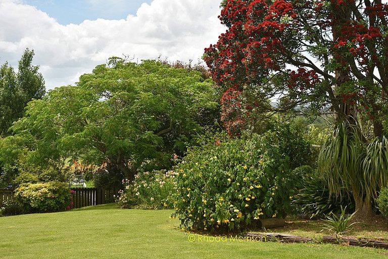 Photo of property in 52 Gallie Branch Road, Matakohe, 0594