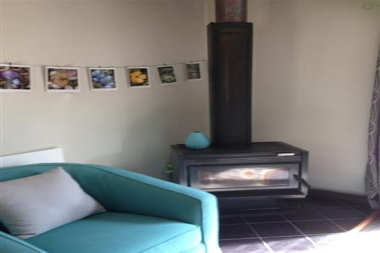 Photo of property in 109 Hopkins Street, Luggate, Cromwell, 9383