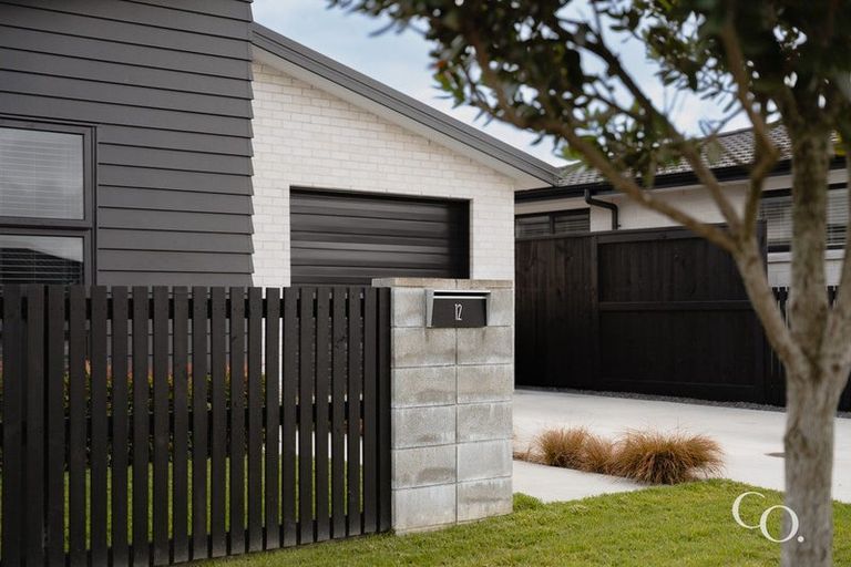 Photo of property in 12 Bronze Court, Papamoa, 3118