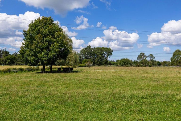 Photo of property in 86 Forrest Road, Cambridge, 3493