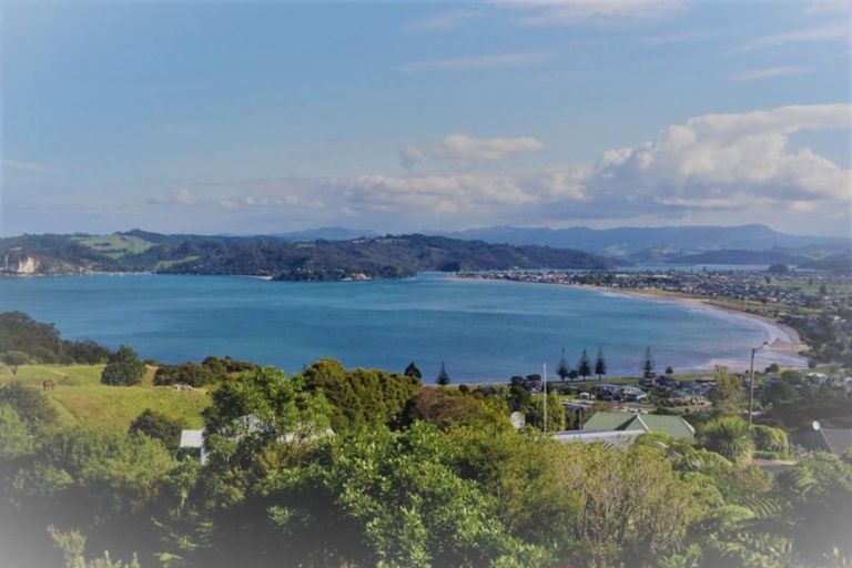 Photo of property in 91 Centennial Drive, Whitianga, 3510