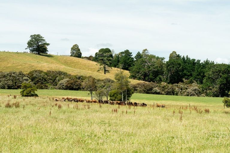 Photo of property in 1937 Lake Ferry Road, Pirinoa, Featherston, 5772