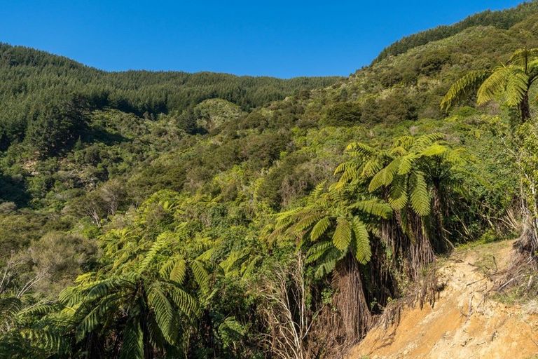 Photo of property in 910 Kenepuru Road, Mahau Sound, Picton, 7282