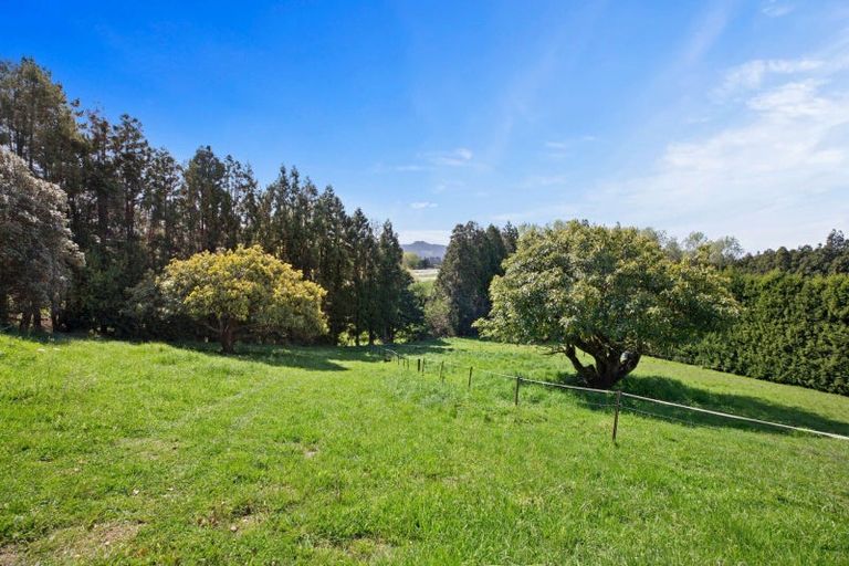 Photo of property in 213 Kauri Point Road, Tahawai, Katikati, 3170
