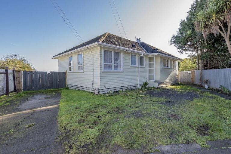 Photo of property in 24 Mahoe Street, Levin, 5510
