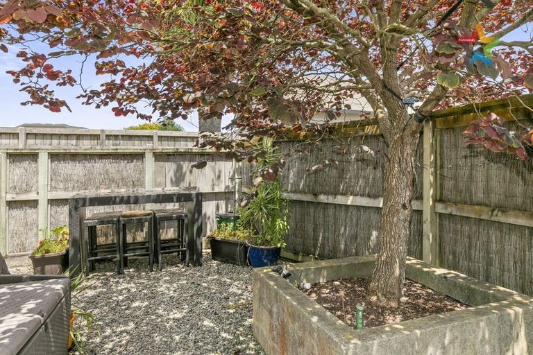 Photo of property in 1a/10 Park Avenue, Epuni, Lower Hutt, 5011