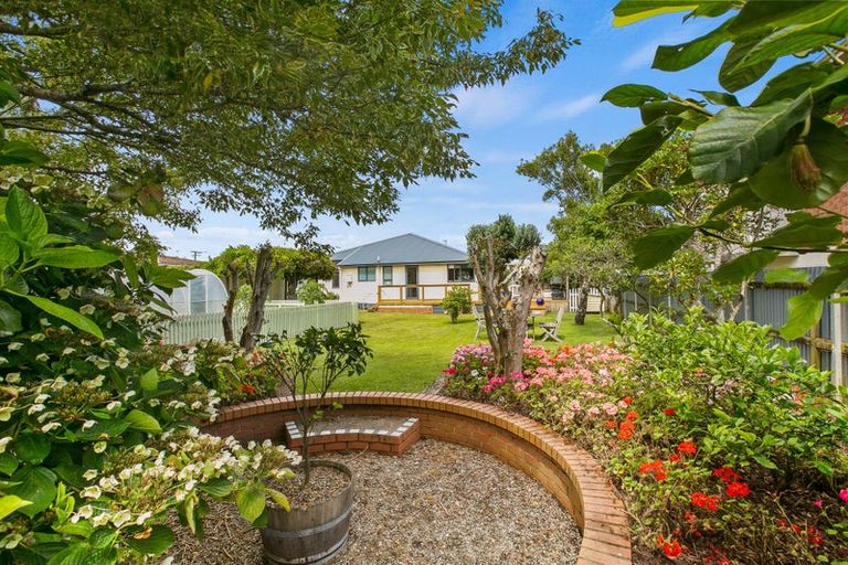 Photo of property in 10 Hoyle Place, New Plymouth, 4310