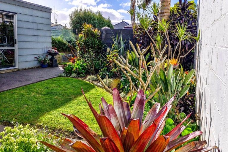 Photo of property in 205 Walter Street, Thames, 3500