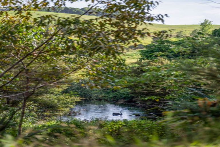 Photo of property in 70 Pukeko Lane, Kerikeri, 0294