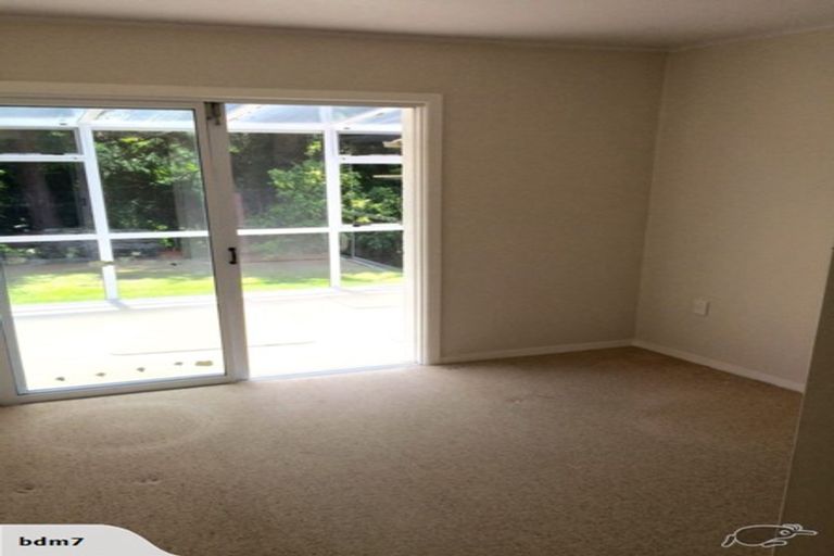 Photo of property in 19 Cranwell Place, Hillcrest, Hamilton, 3216