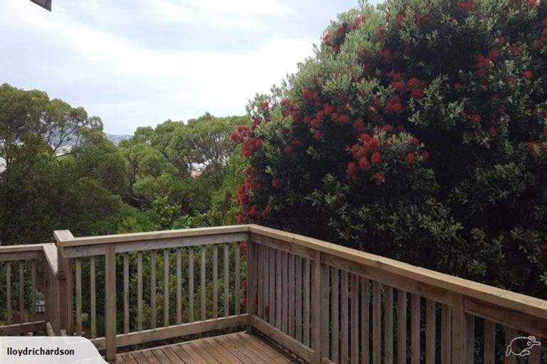 Photo of property in 63 Wright Street, Mount Cook, Wellington, 6021