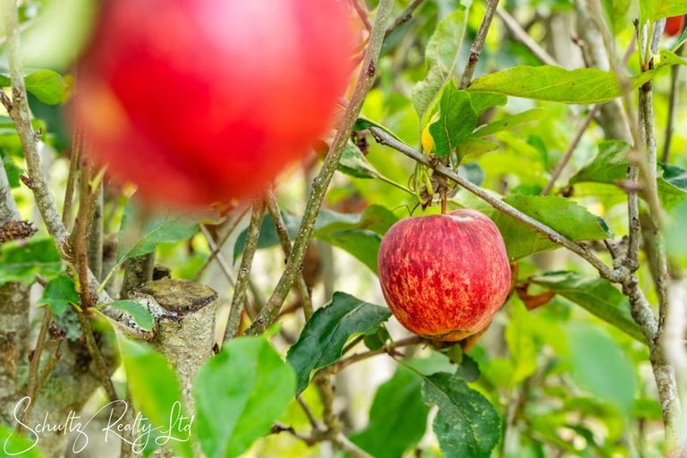 Photo of property in 25 Whaka Street, Maungaturoto, 0520