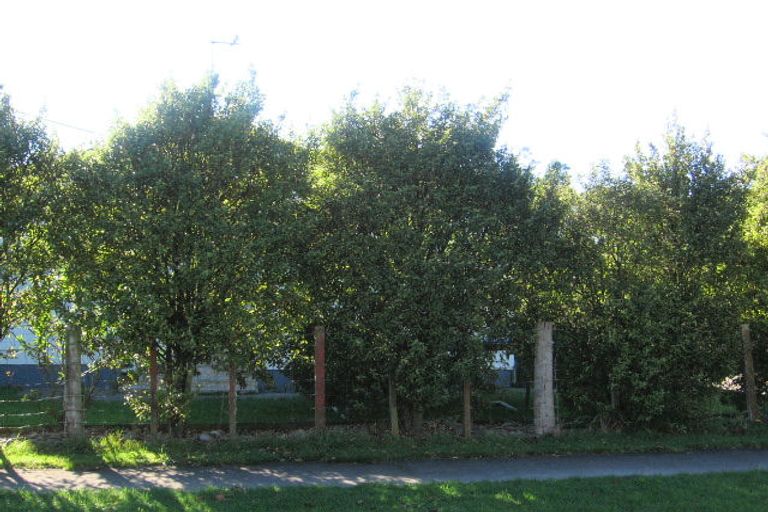 Photo of property in 51 Hewitts Road, Linton, Palmerston North, 4472