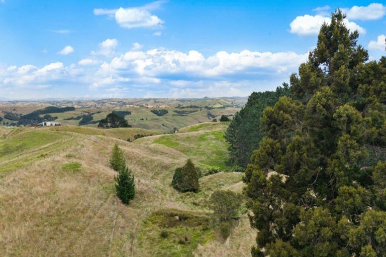Photo of property in 352 Kauri Road, Onewhero, 2697