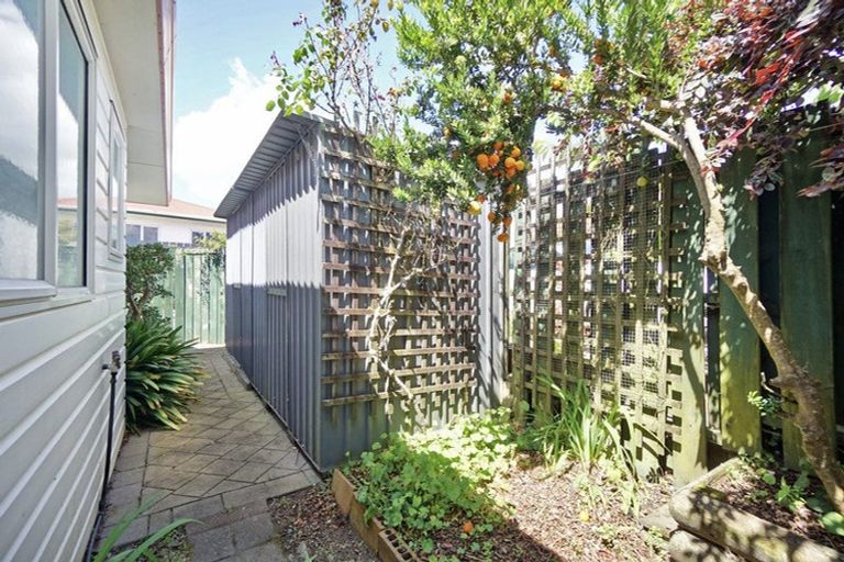 Photo of property in 13a Oroua Street, Te Puke, 3119