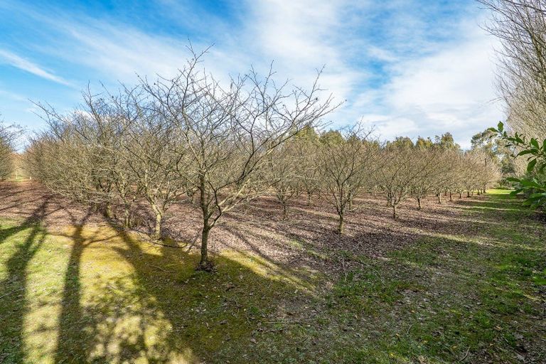 Photo of property in 299 Elmhurst Road, Darfield, 7571