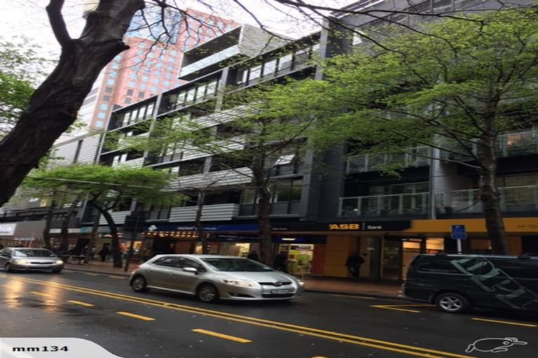 Photo of property in Gerondis Bldg Apartments, 401/60 Willis Street, Wellington Central, Wellington, 6011
