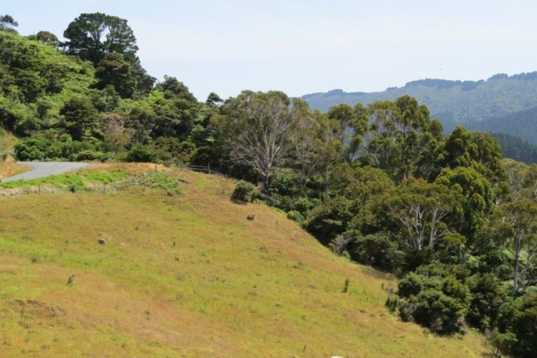 Photo of property in 95b Colville Road, Coromandel, 3584