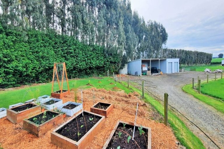 Photo of property in 377 Mcivor Road, Myross Bush, Invercargill, 9876