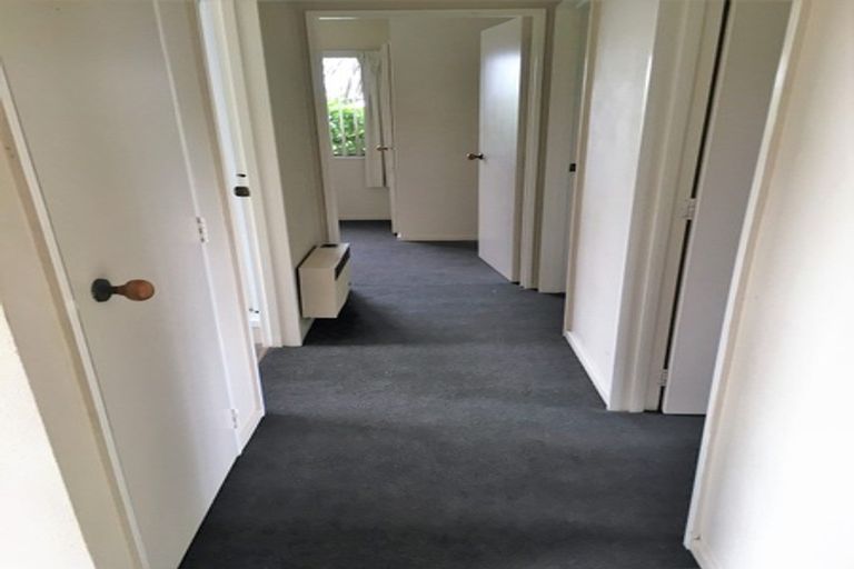 Photo of property in 17 Reeves Close, Fairview Downs, Hamilton, 3214