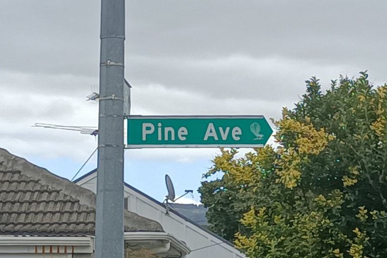 Photo of property in 1/63a Pine Avenue, Ebdentown, Upper Hutt, 5018