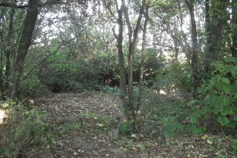 Photo of property in 7 Kelvin Street, South Hill, Oamaru, 9400