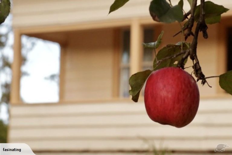 Photo of property in 7250 State Highway 1, Kaitaia, 0481