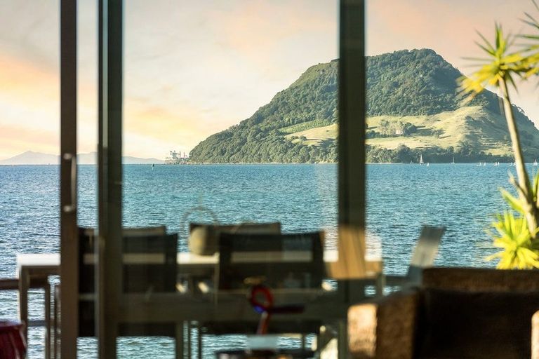 Photo of property in 3/104 Harbour Drive, Otumoetai, Tauranga, 3110