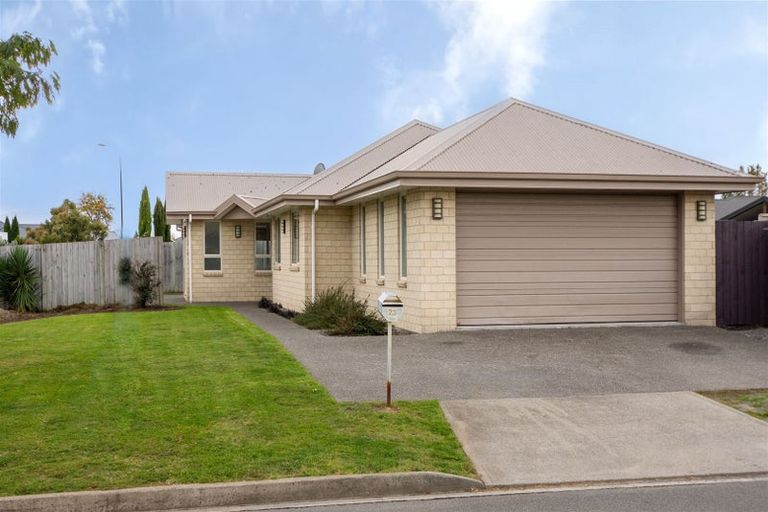 Photo of property in 23 Tremorne Avenue, Blenheim, 7201