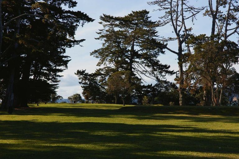 Photo of property in 16 Joan Street, Point Chevalier, Auckland, 1022