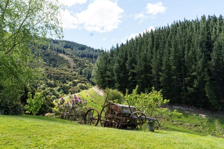 Photo of property in 292 Waipori Falls Road, Berwick, Outram, 9073