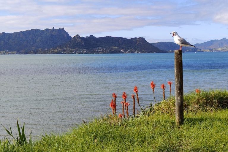 Photo of property in 353 One Tree Point Road, One Tree Point, 0118