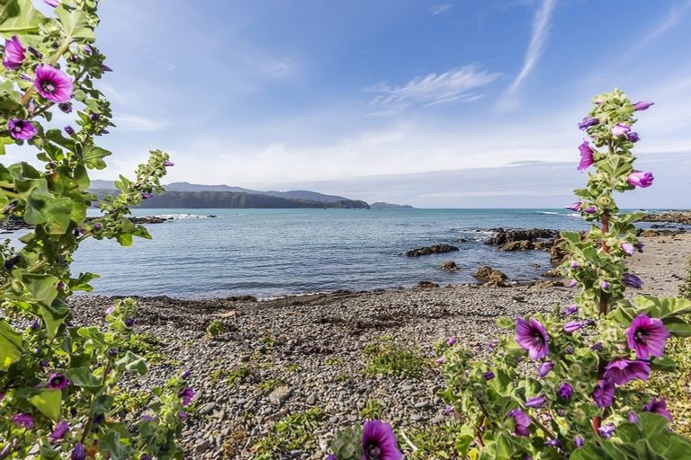 Photo of property in 106 Breaker Bay Road, Breaker Bay, Wellington, 6022