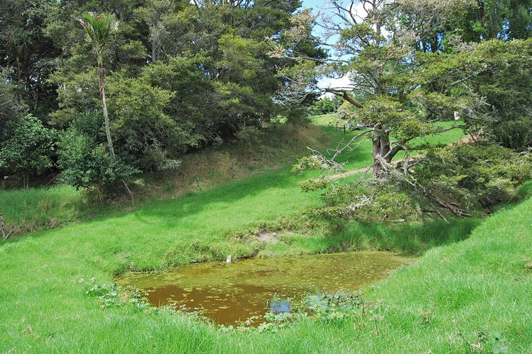 Photo of property in 87 Hurndall Street East, Maungaturoto, 0520