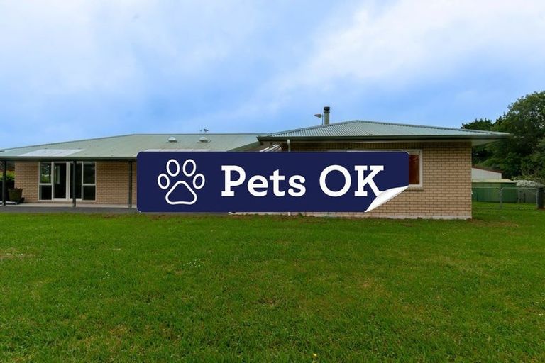 Photo of property in 1284 Dairy Flat Highway, Dairy Flat, Albany, 0794