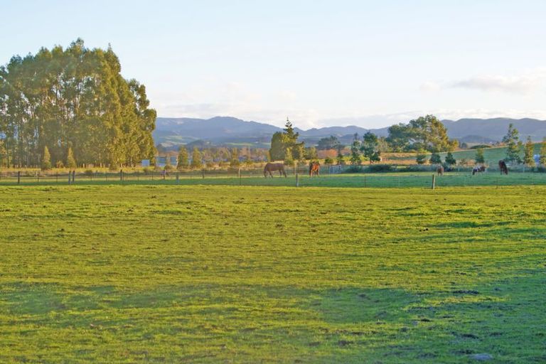 Photo of property in 161 Edinburgh Street, Waikouaiti, 9510