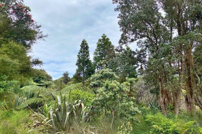 Photo of property in 308 Henderson Bay Road, Houhora, Kaitaia, 0484