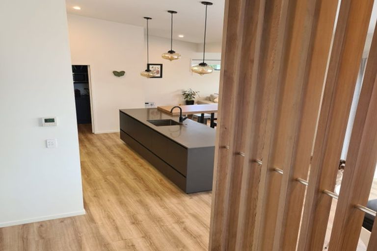 Photo of property in 17 Jonah Lomu Drive, Paerata, Pukekohe, 2124