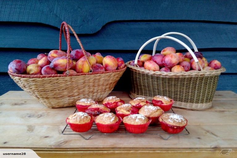 Photo of property in 499 Tara Road, Mangawhai, Kaiwaka, 0573