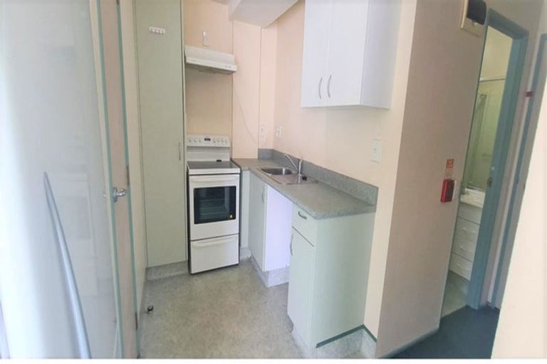 Photo of property in Palm Grove Apartments, 9/13a Palm Grove, Berhampore, Wellington, 6023