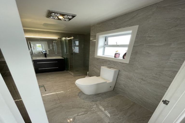 Photo of property in 20 Quattro Avenue, Flat Bush, Auckland, 2019