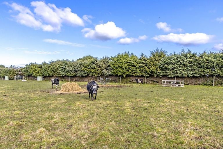 Photo of property in 422 Stonyflat Road, Loburn, Rangiora, 7472