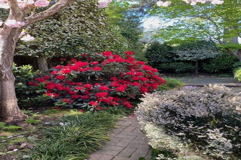 Photo of property in 2/131 Rossall Street, Merivale, Christchurch, 8014