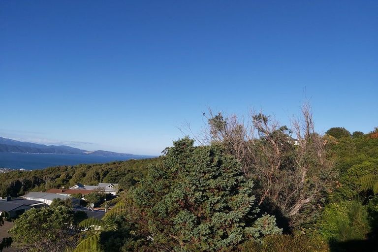 Photo of property in 60 Acacia Avenue, Maungaraki, Lower Hutt, 5010