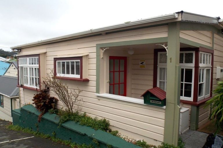 Photo of property in 1-3 Mudges Terrace, Newtown, Wellington, 6021