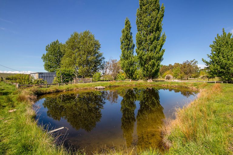 Photo of property in 1031 Earnscleugh Road, Earnscleugh, Alexandra, 9391