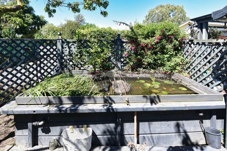 Photo of property in 64 Eton Street, Hampstead, Ashburton, 7700