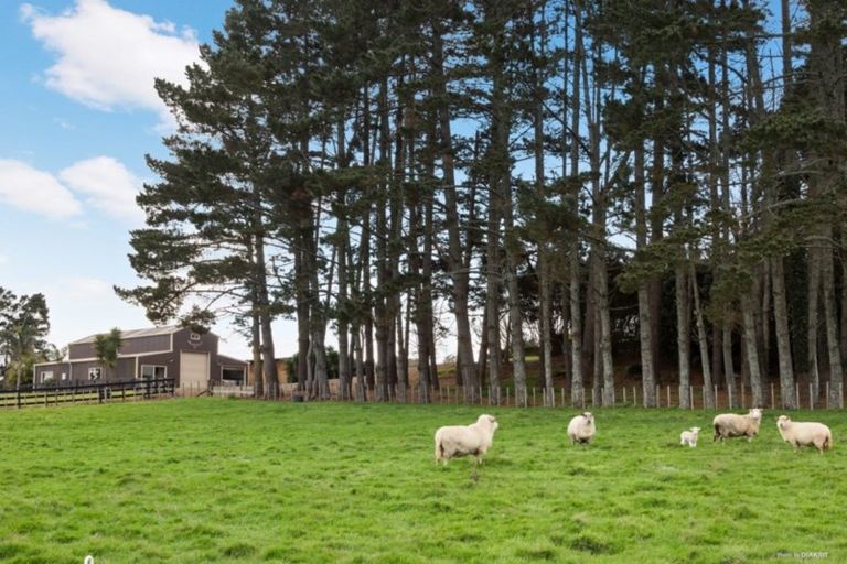 Photo of property in 109 Logan Road, Buckland, Pukekohe, 2677